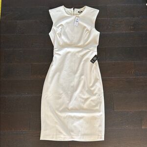 Express White Dress Sleeveless Stretchy Column Midi Dress With Dual Zippers  M
